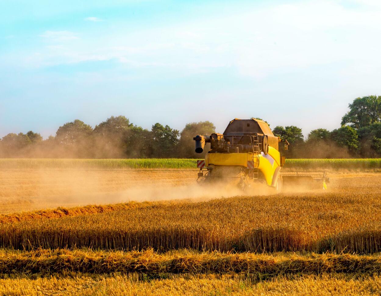 Polen: Hohe Kosten überfordern immer mehr Landwirte | agrarheute.com Polen: Hohe Kosten überfordern immer mehr Landwirte | agrarheute.com