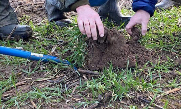 regenerative landwirtschaft