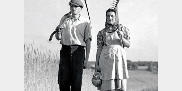 kollektivierung der landwirtschaft