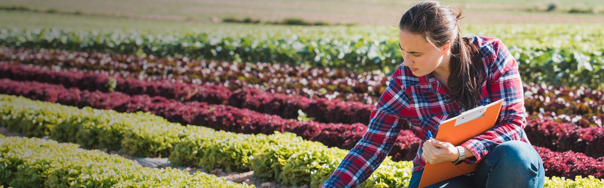 Was ist nachhaltige Landwirtschaft? Was ist nachhaltige Landwirtschaft?