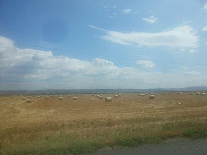 Romanian agriculture lender ups profit by 57% | Romania Insider Romanian agriculture lender ups profit by 57% | Romania Insider