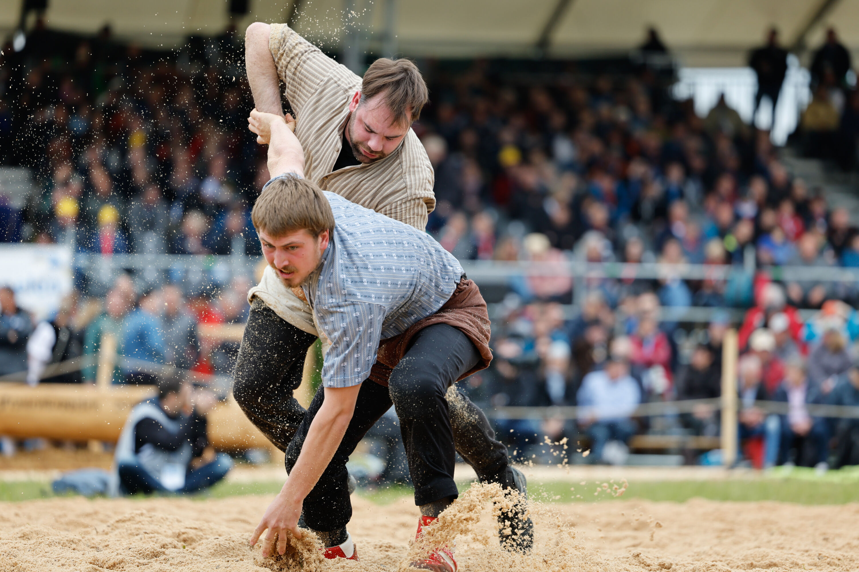  2023 Mittelländisches Schwingfest – Schwingklub Thun und Umgebung Illustration 