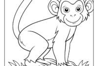 affe malvorlage