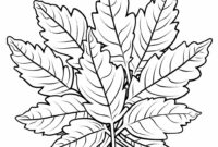 herbstblätter ausmalbilder herbst