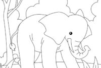 zoo zeichnen