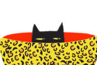 bilder katzen lustig
