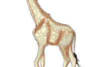 giraffe zeichnen einfach
