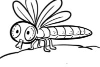 ausmalbilder insekten