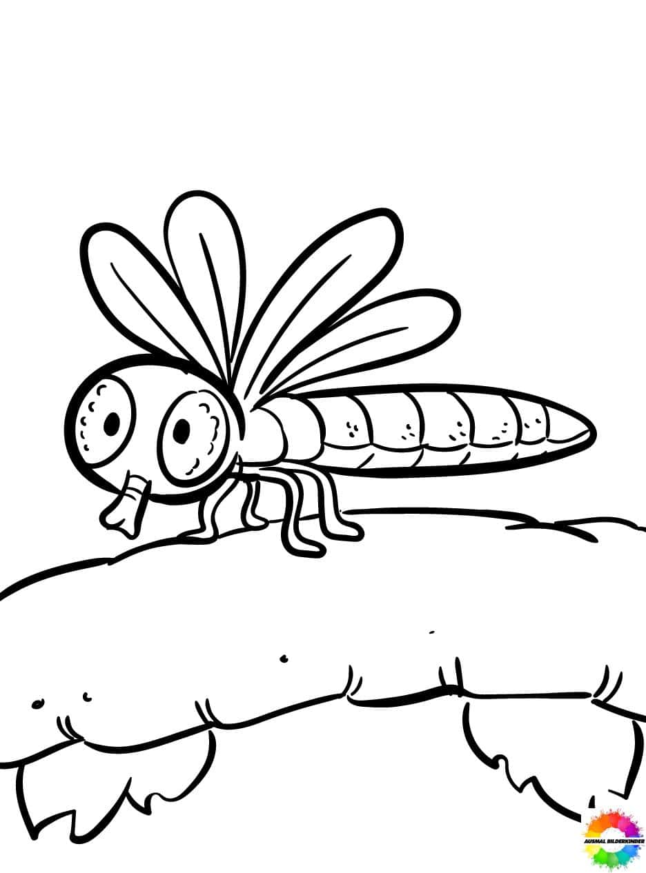  49+ Insekten ausmalbilder kostenlos zum ausdrucken für kinder Illustration 
