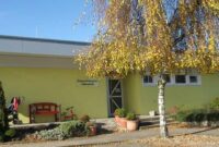 kindergarten lebensbaum