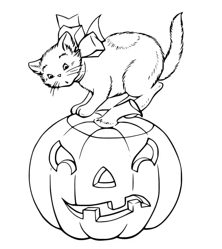  Foto zu Halloween Katze Malvorlage 