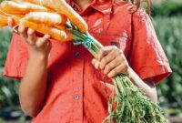 gesunde ernährung projekt kindergarten