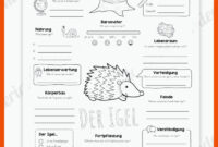 arbeitsblatt igel kindergarten