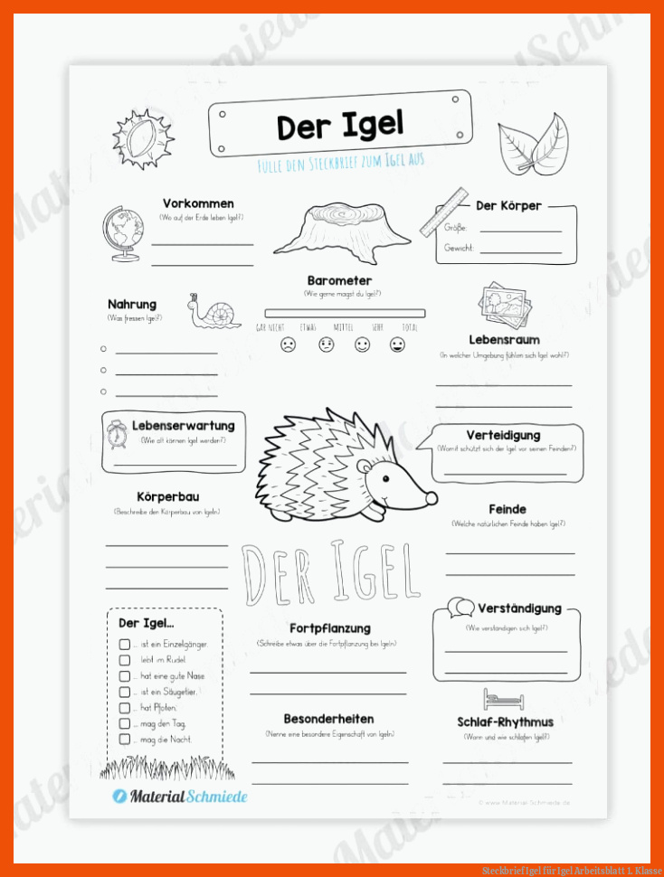  Igel Arbeitsblatt 1. Klasse - Allgemeine Arbeitsblätter Illustration 