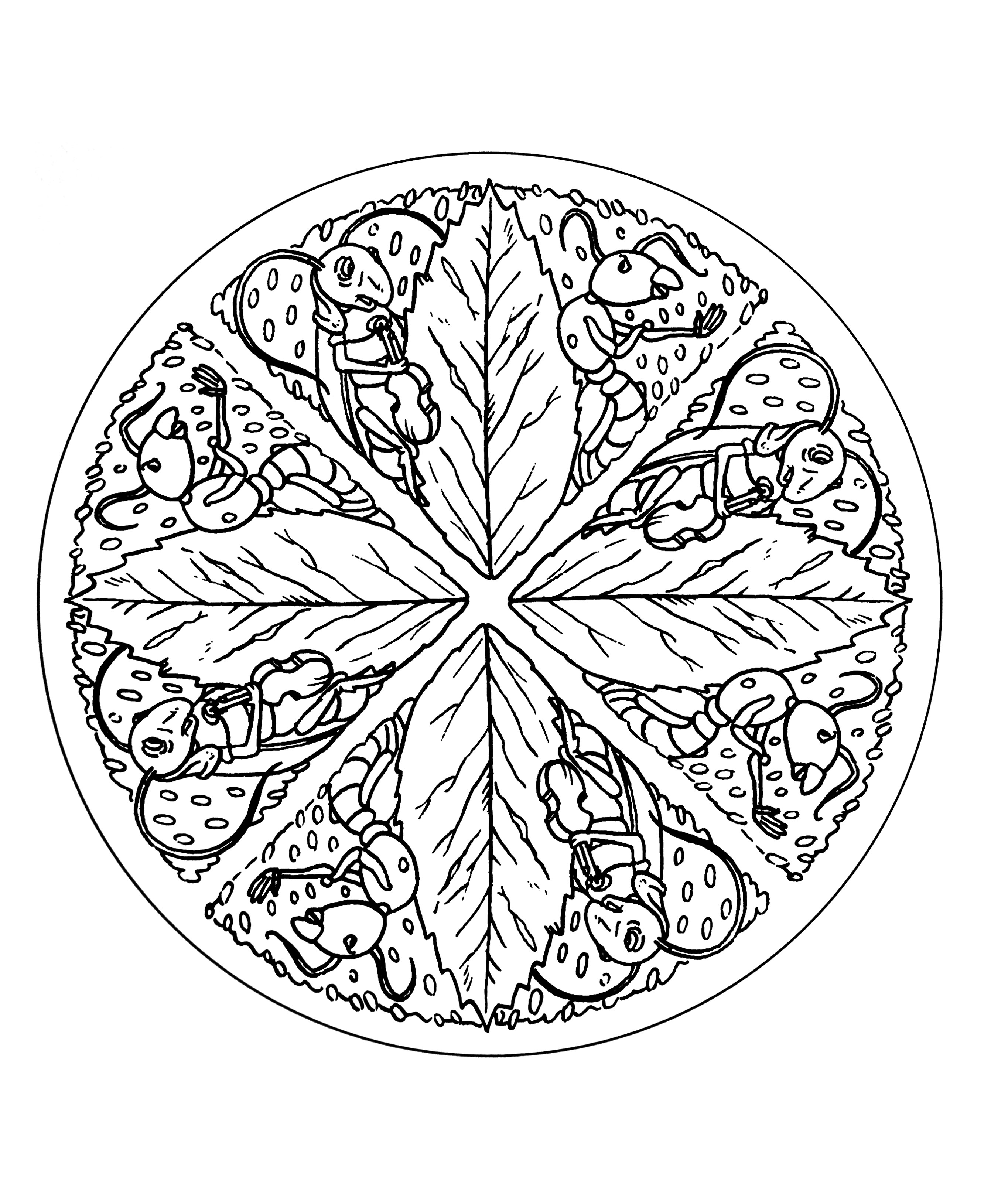  Autumn mandala - Mandala Coloring Pages for Kids Motiv 
