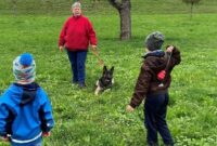 voraussetzung hund im kindergarten