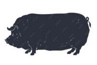 schwein silhouette