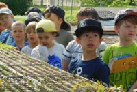 kindergarten wiesenfelden kindergarten wiesenfelden