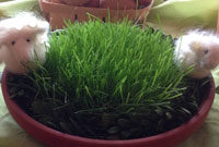 kindergarten herdecke