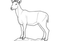 ziege ausmalbilder ziege ausmalbilder