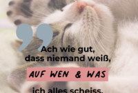 schöne status bilder whatsapp kostenlos
