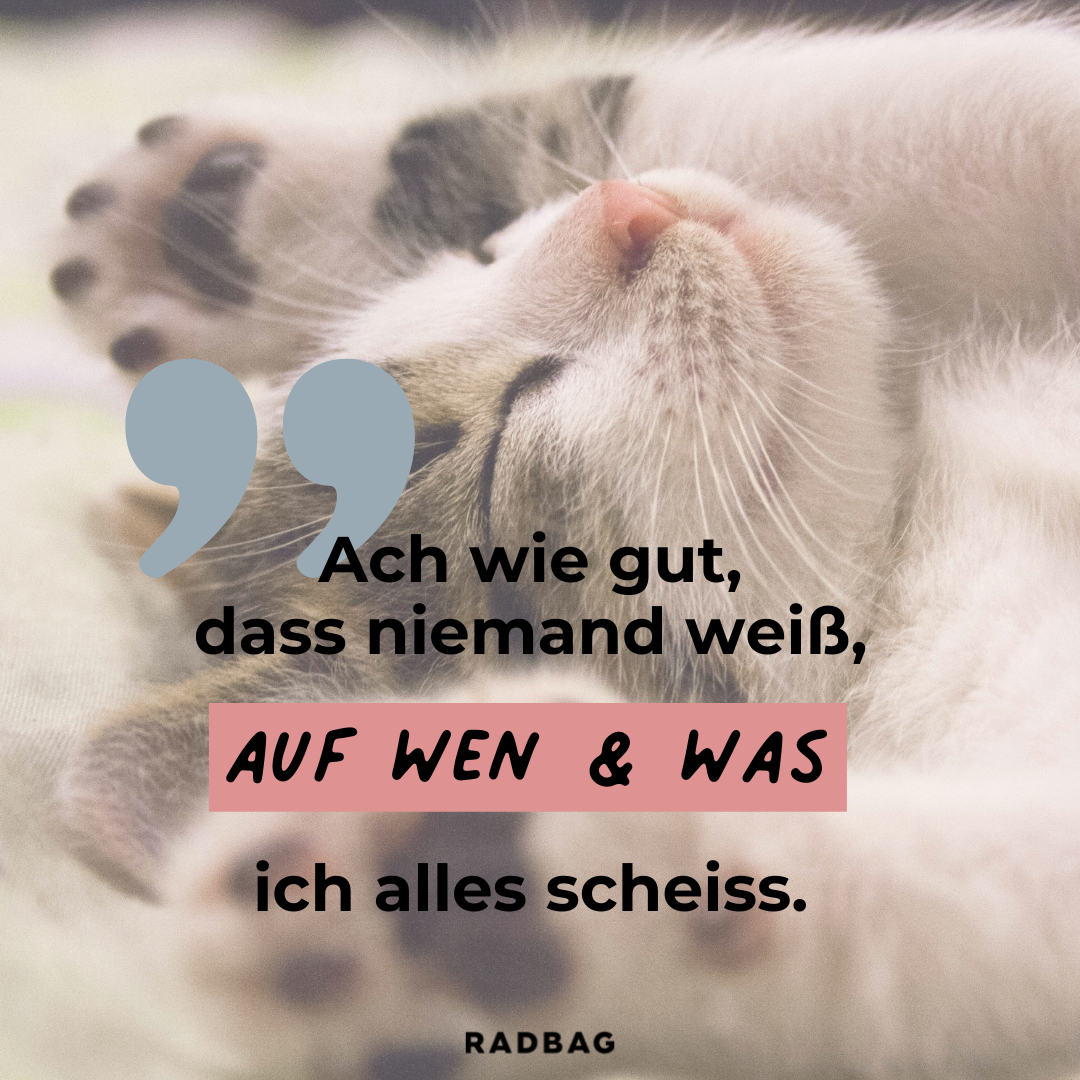  Lustige Status Bilder Für Whatsapp Kostenlos Motiv 