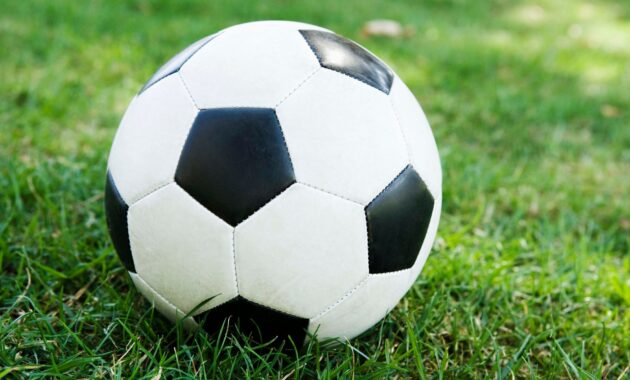 soccer player dies in car crash
