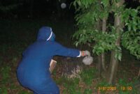 kindergarten laatzen