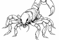 ausmalbild skorpion