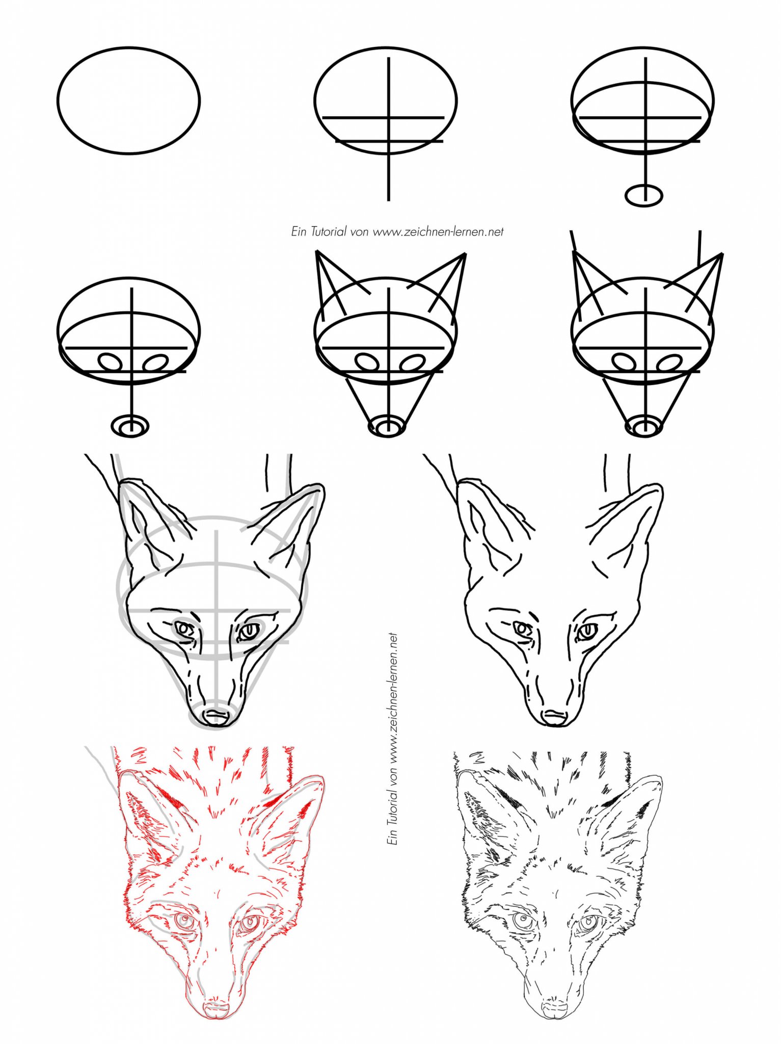  Fuchs zeichnen - Grundlagen und Beispieltutorials Bildidee 