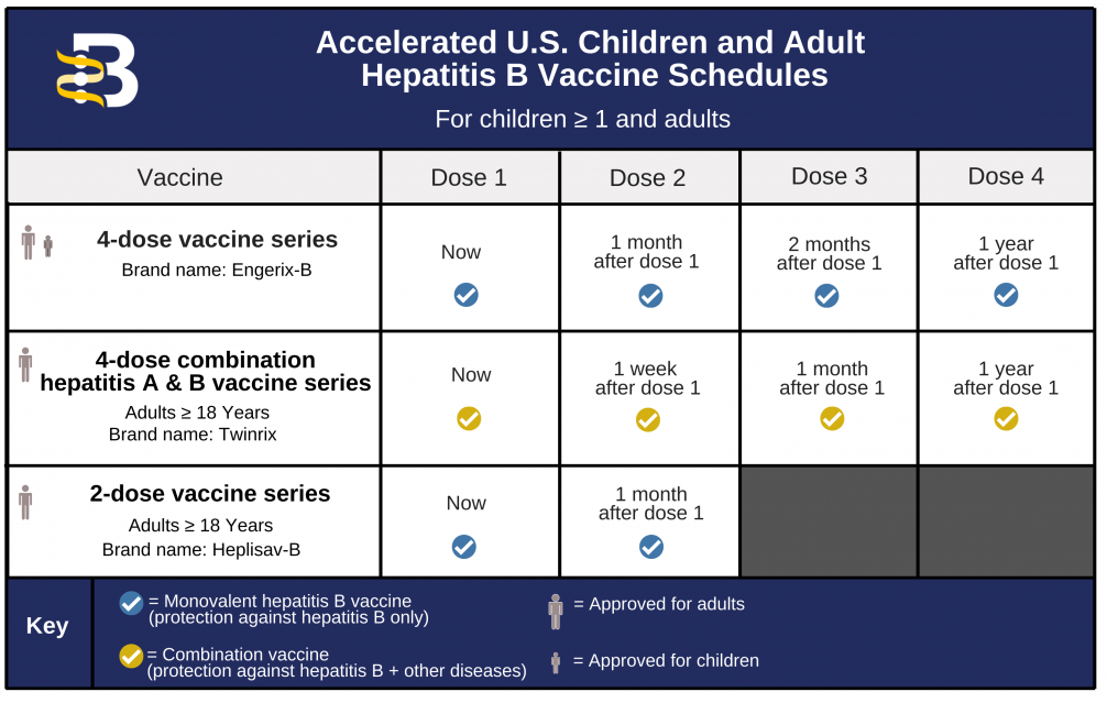 Hepatitis B Foundation: Hepatitis B Vaccine Schedules