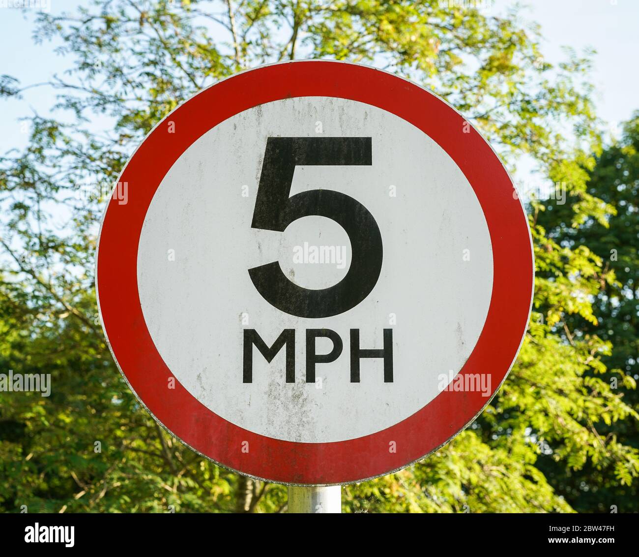 Close up of isolated 5 MPH speed limit road sign, outdoors in sunshine