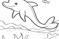bilder von delfinen zum ausmalen
