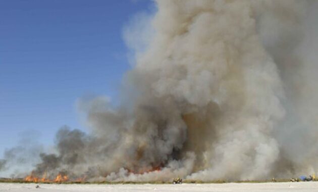 fire clipart transparent