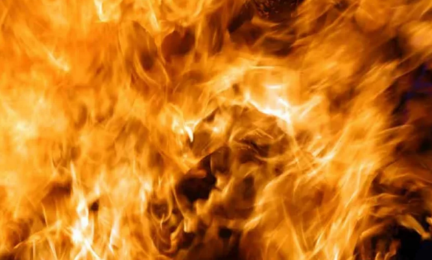 fire vector art
