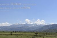 sprüche im bild sprüche im bild