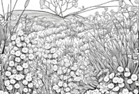 blumenwiese ausmalbild frühlingswiese