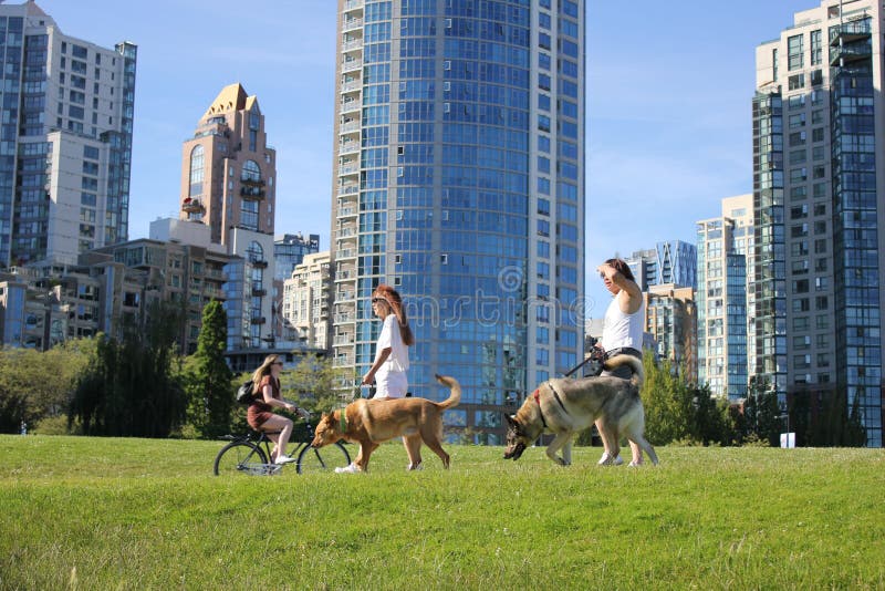 People Walking with Their Dogs in the Green Park in Yaletown on a