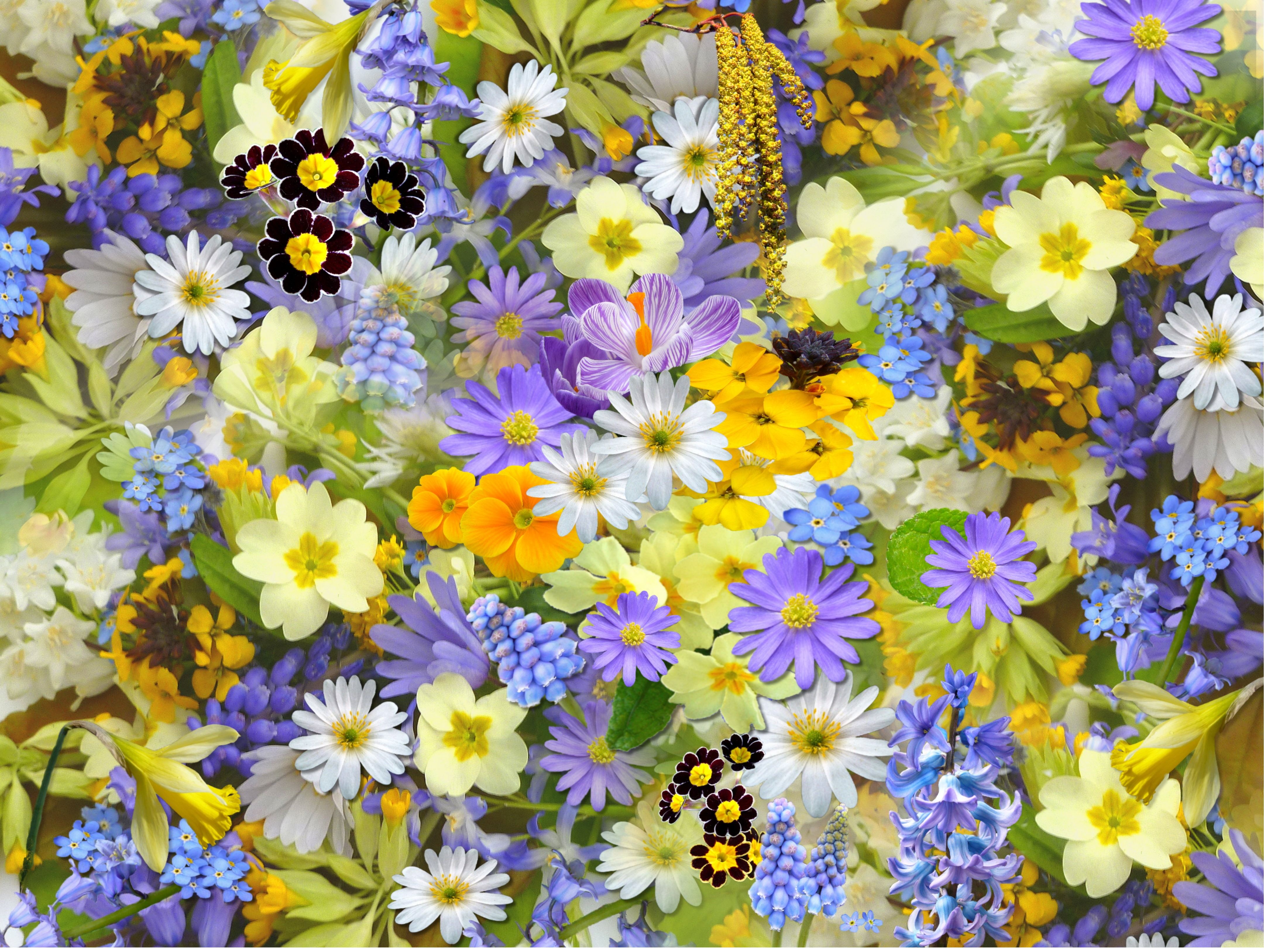  Floral Patterns Wallpaper Photos, Download The BEST Free Floral 