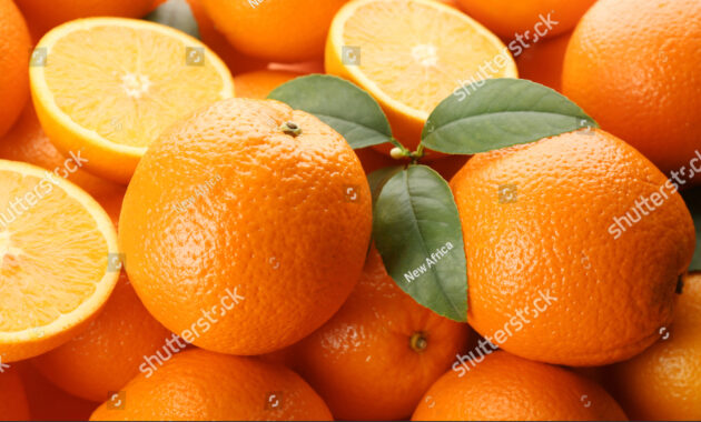 orange crush clip art