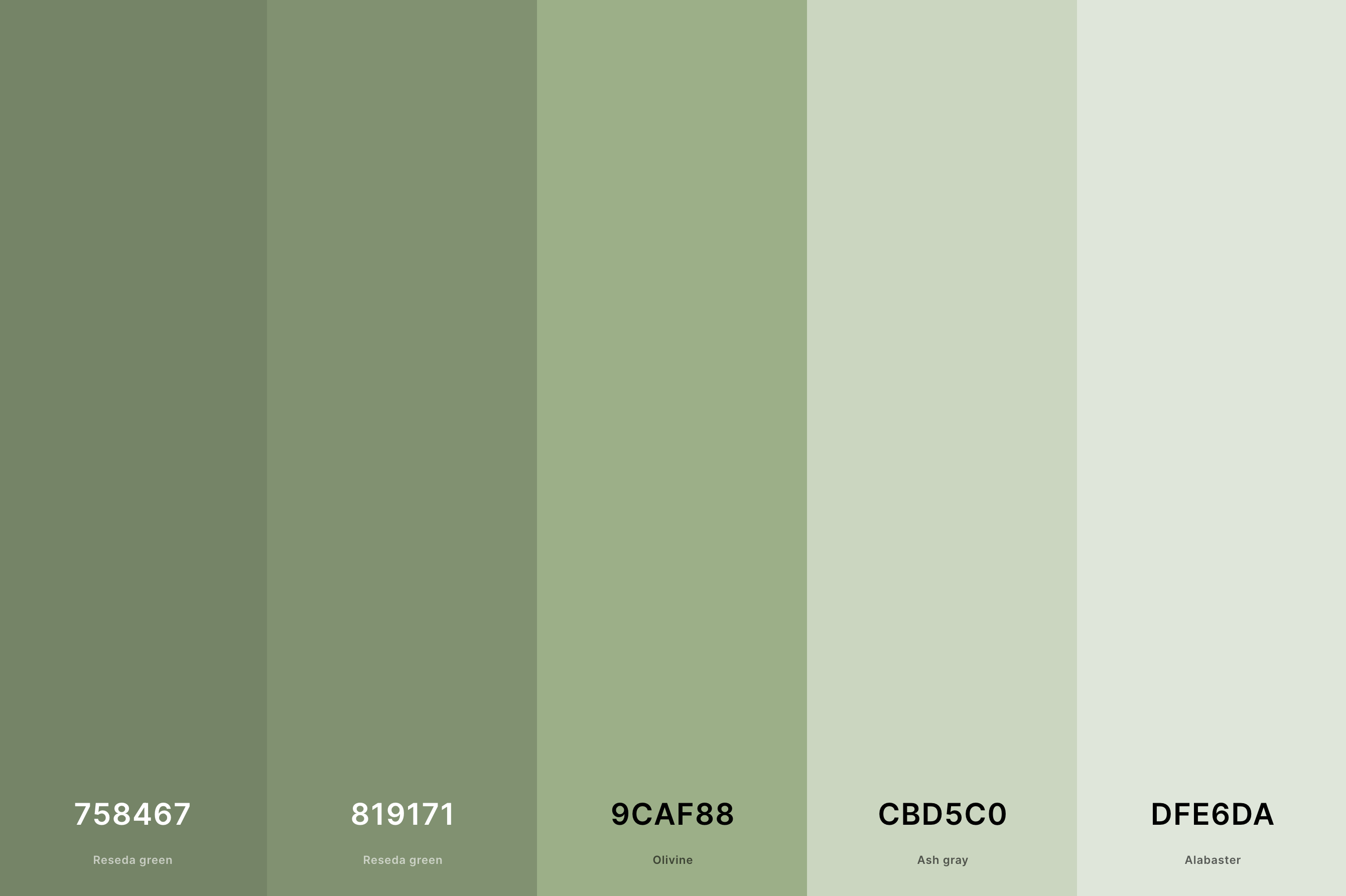Best Color Palettes With Hex Codes - Design Talk