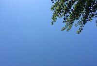 schortens kindergarten