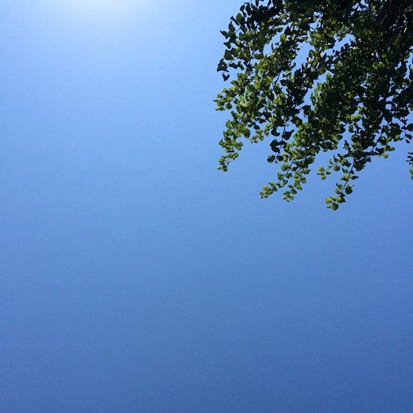  Schortens - Town Bildidee 