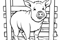 schwein ausmalbild schwein ausmalbild