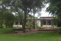 bornheim kindergarten