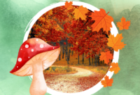 herbstangebote im kindergarten