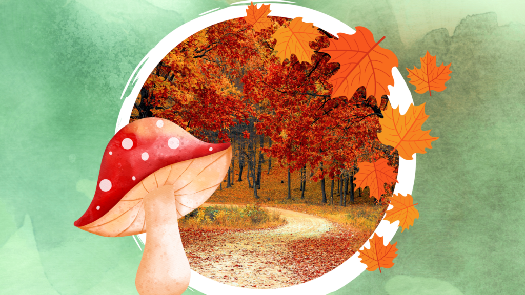  Kindergarten: Spiel-Lied Herbst - kinderlachen-ideen Motiv 