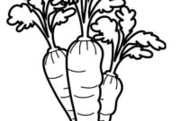 karotte vorlage zum ausdrucken