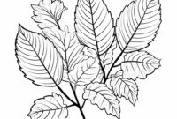 ausmalbild blatt herbst ausmalbild blatt herbst