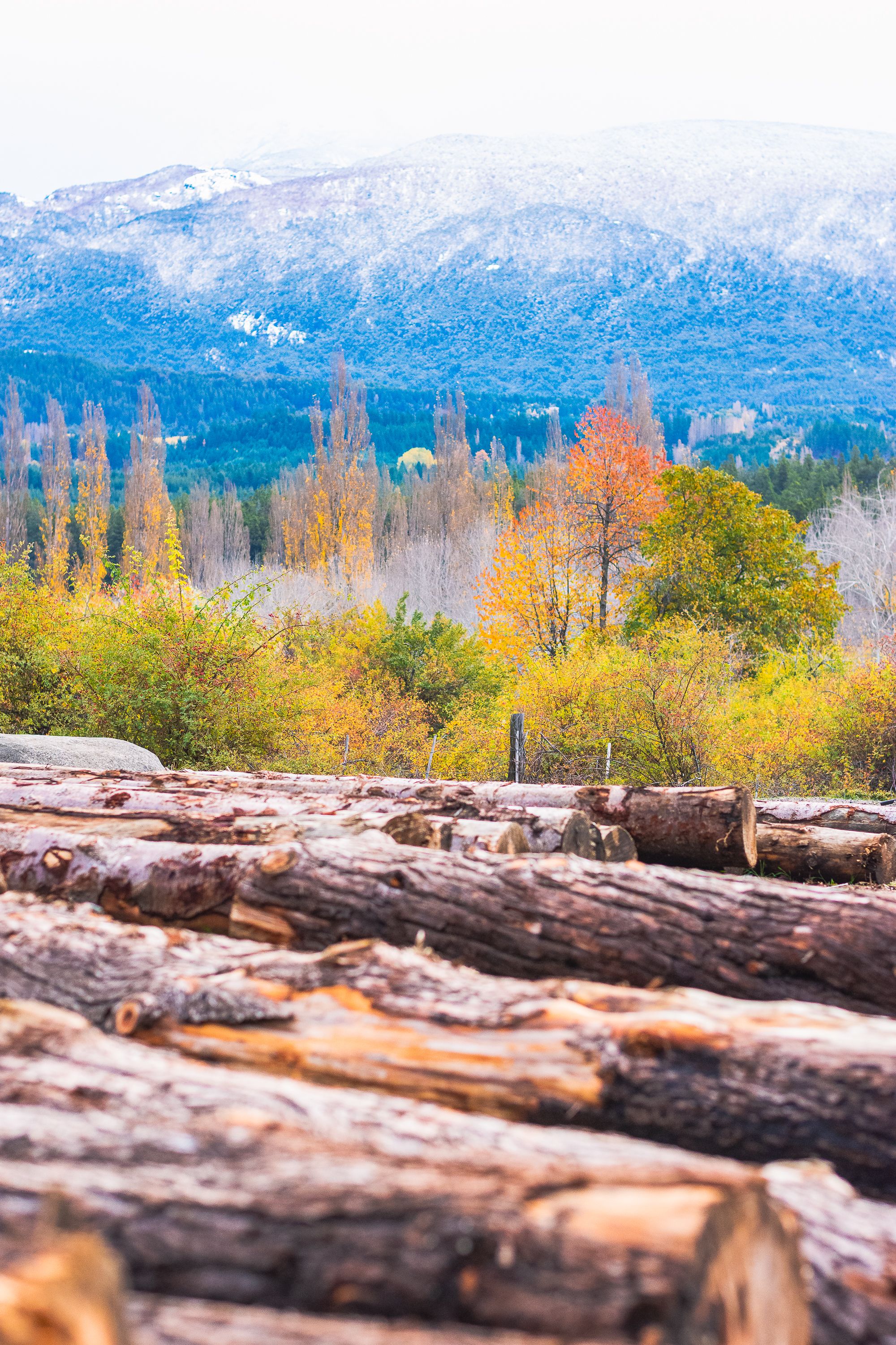 Nature Environment Photos, Download The BEST Free Nature Environment